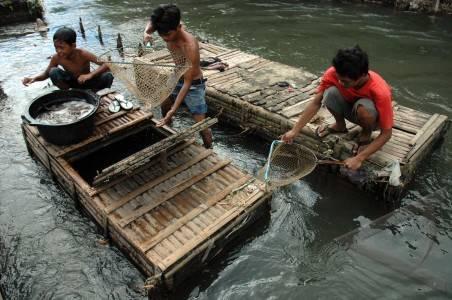usaha-keramba-ikan-serap-tenaga-kerja